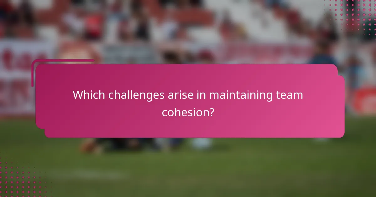 Which challenges arise in maintaining team cohesion?